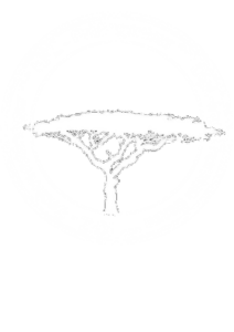 Logo_weiss_gross